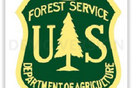 Regional US Forest
