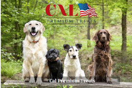 Cal Premium Treats