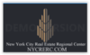 New York City Real Estate Regional Center, LLC logo