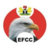 EFCC arraigns U.S. citizen over $388.838 green card fraud