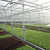 Gotham Greens brings greenhouse to former Sparrows Point steel mill site