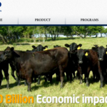 Big EB-5 Project is Bankrupt in South Dakota; Investors May Lose Everything