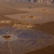 Ivanpah receives excellence award