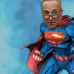 Chuck Schumer defends NYC developers against EB-5 gerrymandering allegations