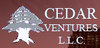 Cedar Ventures L.L.C logo