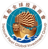 Treasure Fleet Global Investment Group logo