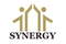 Synergy California Green Hospitality Regional Center preview