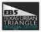 Texas Urban Triangle Regional Center preview